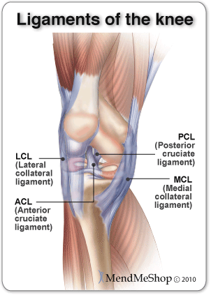 knee injury